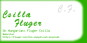 csilla fluger business card